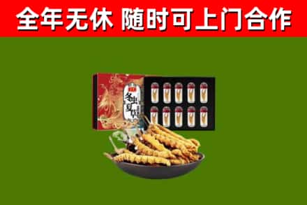 东阳回收冬虫夏草价格